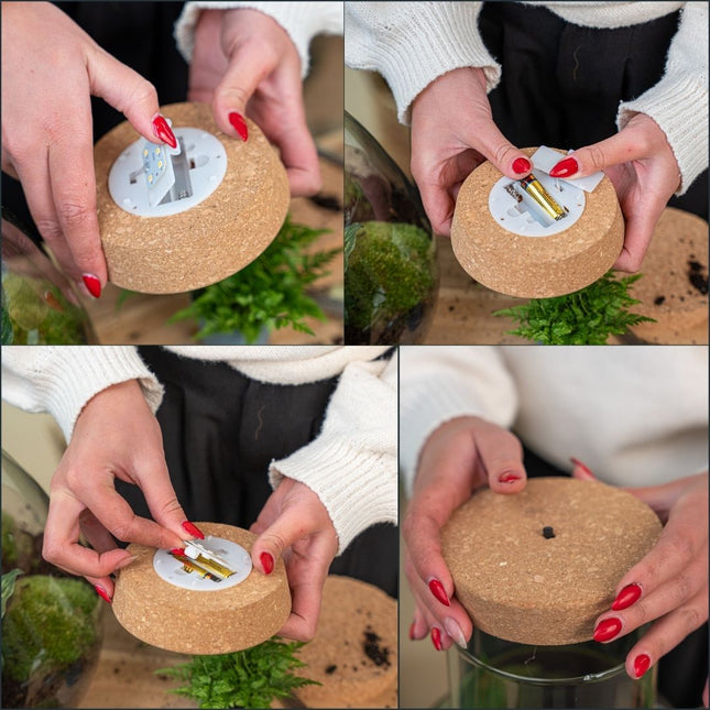 Cork with led Small - Terrarium cork with light - Customizable -  10.3 x 9 x 2.7 cm