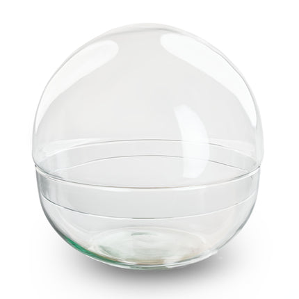 Dome XL - Globe glass - Bell jar - Closed terrarium ↑30 cm