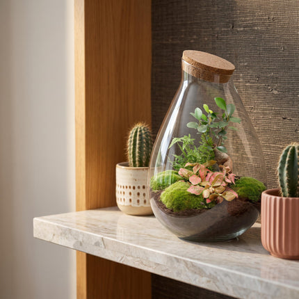 Drop XL Red - Terrarium with cork - Bottle garden DIY kit – Ø 24 cm ↑ 37 cm