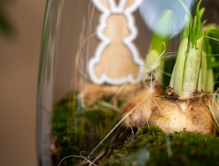 Spring is in the air!