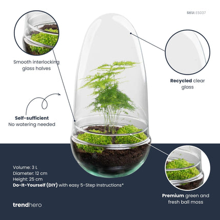 Egg - Terrarium - Two-part glass dome - Bottle garden DIY kit - Ø 12 cm ↑ 25 cm
