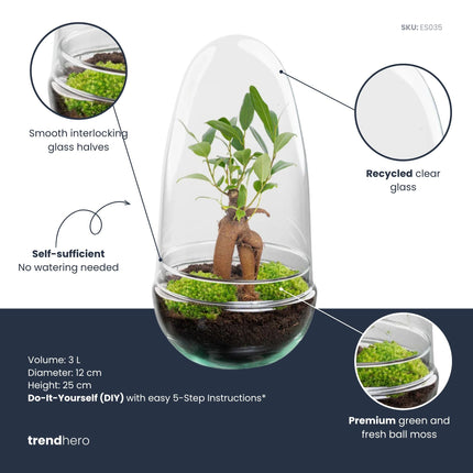 Egg - Terrarium - Two-part glass dome - Bottle garden DIY kit - Ø 12 cm ↑ 25 cm