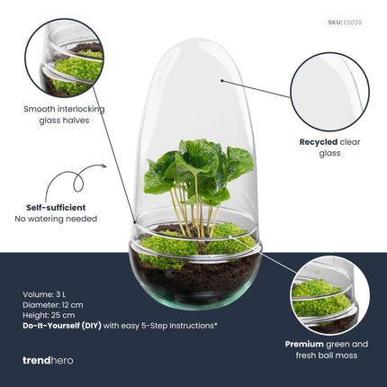 Egg - Terrarium - Two-part glass dome - Bottle garden DIY kit - Ø 12 cm ↑ 25 cm