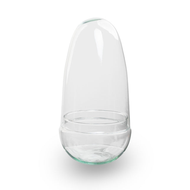 Terrarium bottle ‘Egg’ – Two-part glass dome – Closed terrarium Ø 12 cm ↑ 25 cm