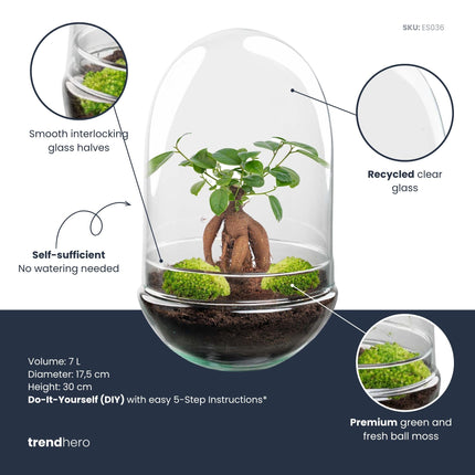 Egg XL Bonsai - Flaschengarten - Zweiteilige Glaskuppel - DIY Terrarium mit Pflanzen im Glas - Ø 17,5 cm ↑ 30 cm