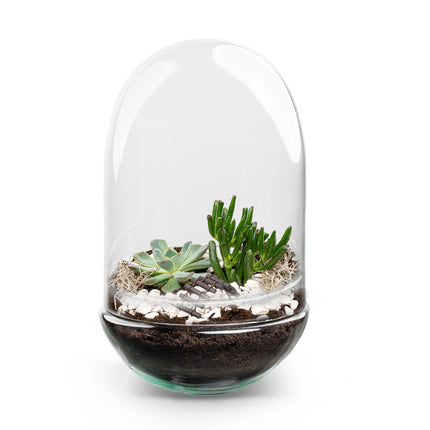Egg XL Succulent - Offenes Terrarium - Flaschengarten DIY Kit - Ø 17,5 cm ↑ 30 cm