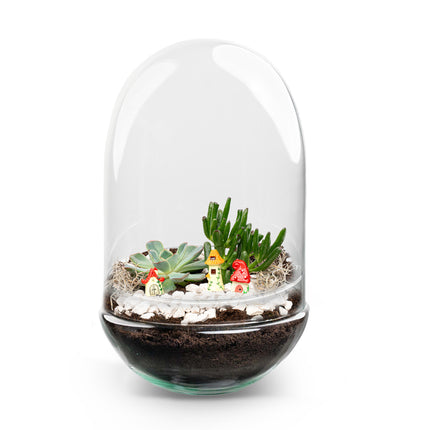 Egg XL Succulent - Offenes Terrarium - Flaschengarten DIY Kit - Ø 17,5 cm ↑ 30 cm