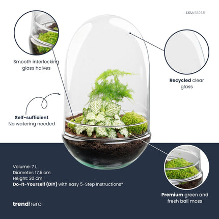 Egg XL - Flaschengarten - Zweiteilige Glaskuppel - DIY Terrarium mit Pflanzen im Glas - Ø 17,5 cm ↑ 30 cm