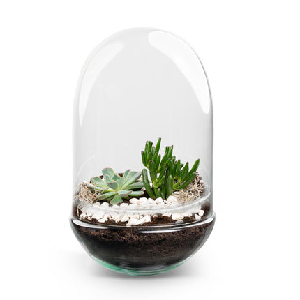 Egg XL Succulent - Offenes Terrarium - Flaschengarten DIY Kit - Ø 17,5 cm ↑ 30 cm