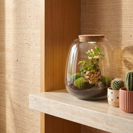 Emma - Bonsai Red - Flaschengarten mit Licht - DIY Terrarium mit Pflanzen im Glas - Ø 23 cm ↑ 25 cm