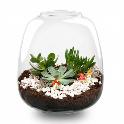 Emma Succulent - Offenes Terrarium - Flaschengarten DIY Kit - Ø 23 cm ↑ 25 cm