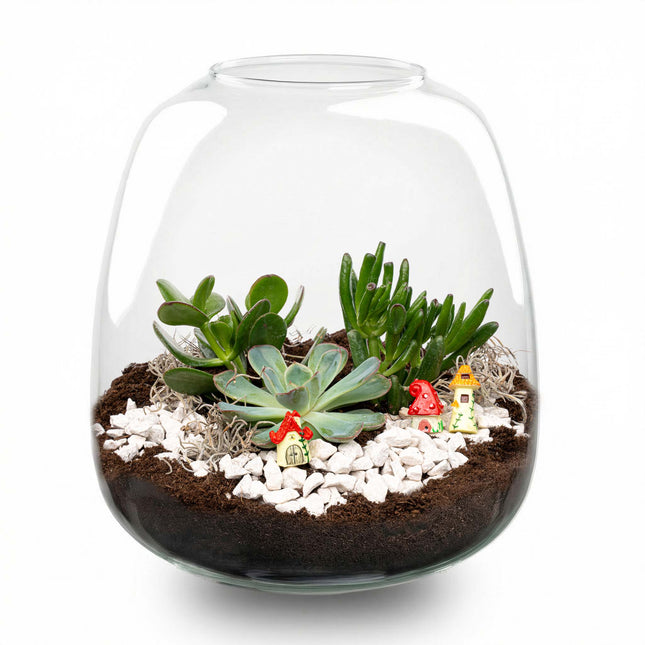 Emma Succulent - Offenes Terrarium - Flaschengarten DIY Kit - Ø 23 cm ↑ 25 cm