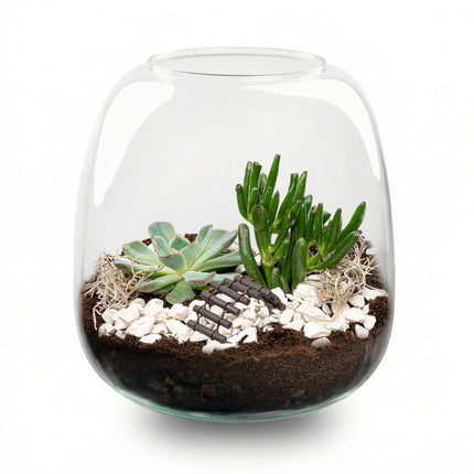 Emma Mini Succulent - Offenes Terrarium - Flaschengarten DIY Kit - Ø 19 cm ↑ 20 cm