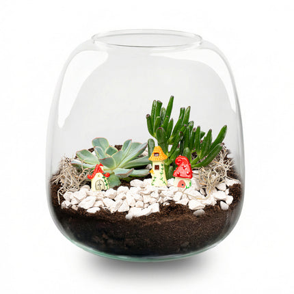 Emma Mini Succulent - Offenes Terrarium - Flaschengarten DIY Kit - Ø 19 cm ↑ 20 cm
