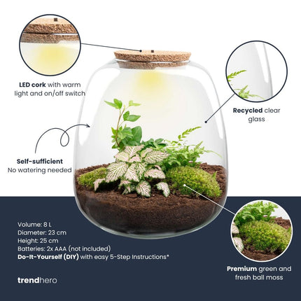 Emma - Flaschengarten mit Licht - DIY Terrarium mit Pflanzen im Glas - Ø 23 cm ↑ 25 cm