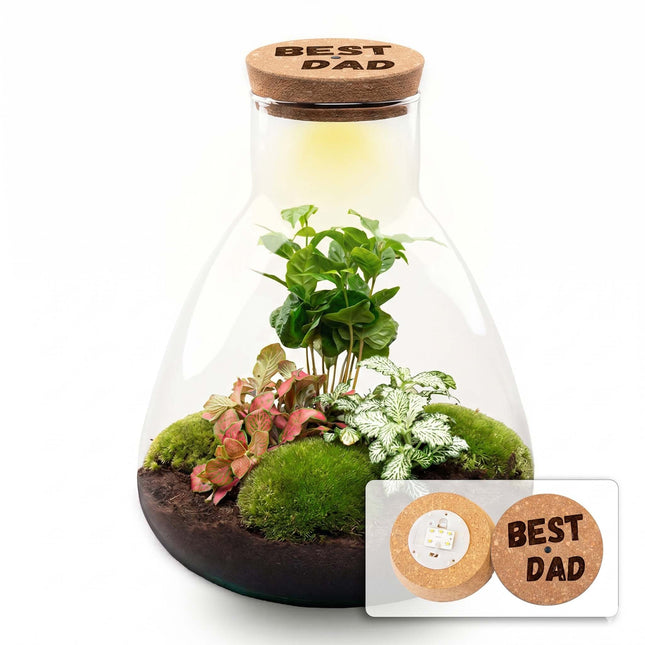 Father's Day terrarium Sam + Custom engraved cork with light - Bottle garden DIY kit - Ø 24.5 cm ↑ 30 cm