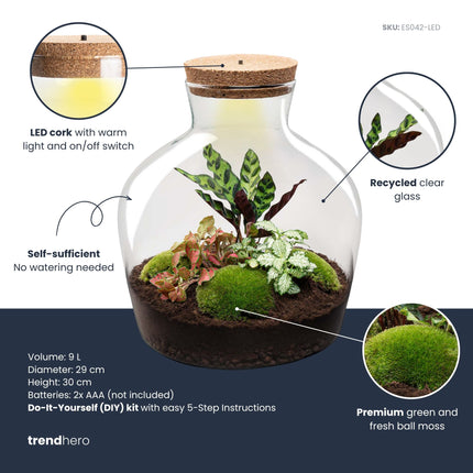 Fat Joe Red - Terrarium with light - Bottle garden DIY kit - Ø 29 cm ↑ 30 cm