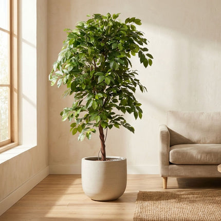 Ficus Deluxe Vine Tree 140 cm - Kunstpflanze