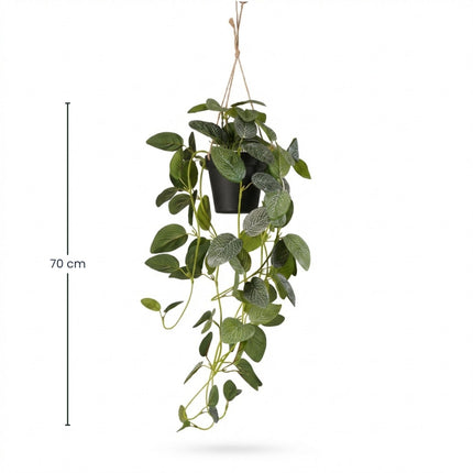 Artificial Fittonia - Hanging plant in pot - Green & White - 70 cm