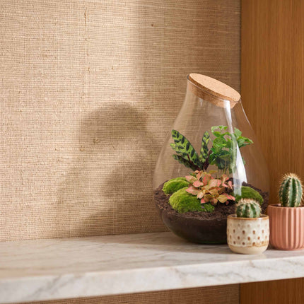 Drop XXL Rot - Flaschengarten mit Korken - DIY Terrarium mit Pflanzen im Glas - Ø 34 cm ↑ 43 cm