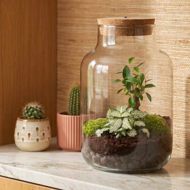Little Milky - Bonsai - Terrarium with light - Bottle garden DIY kit - Ø 17 cm ↑ 25 cm