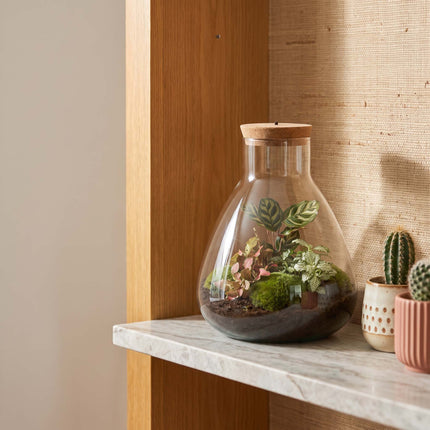 Sam Calathea - Terrarium with light - Bottle garden DIY kit - Ø 24.5 cm ↑ 30 cm