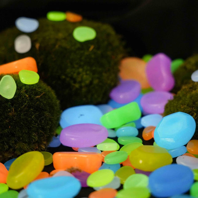 Glow Stones Mittel - Glow in the dark - Terrarium Dekoration - Aquarium Dekoration - Multicolor - 12 Stück - 3-5 cm