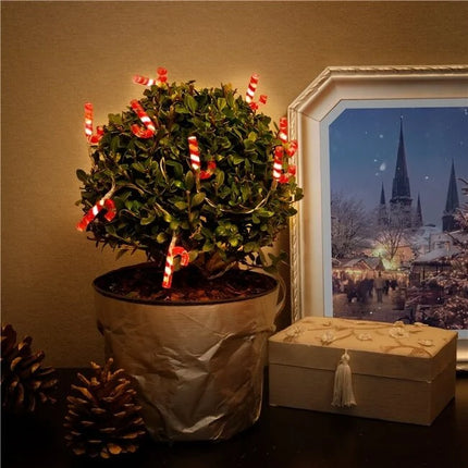 String Light "Candy Canes" with 10 LEDs