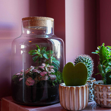 'LOVE MOM' Terrarium Little Milky + gravierter Kork mit Licht - Flaschengarten DIY Set - Ø 17 cm ↑ 25 cm - Muttertag