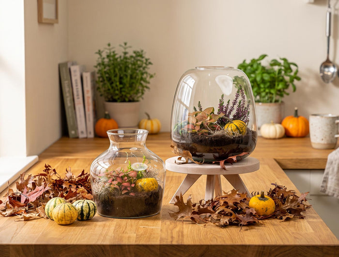 Autumn and Halloween decoration