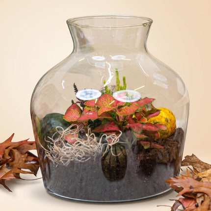 Little Joe Autumn (Halloween) - Glass bottle with Autumn plants and mini pumpkins - Autumn Bottle garden DIY kit - Ø 20 cm ↑ 22 cm