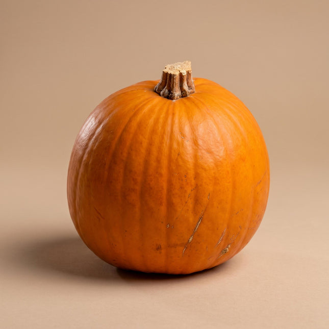 Halloween pumpkin - Orange - Real - Ø approx. 19 cm - approx. 1,9 kg