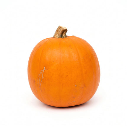 Halloween Kürbis - Orange - Echt - Ø ca. 16 cm - ca. 1,4 kg