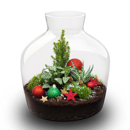 Holly Weihnachts-Terrarium - DIY Flaschengarten - Ø 25 cm ↑ 26,5 cm