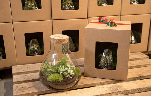 Jeder verdient ein<br> spezielles Geschenk