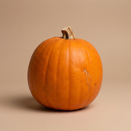 Halloween Kürbis - Orange - Echt - Ø ca. 16 cm - ca. 1,4 kg