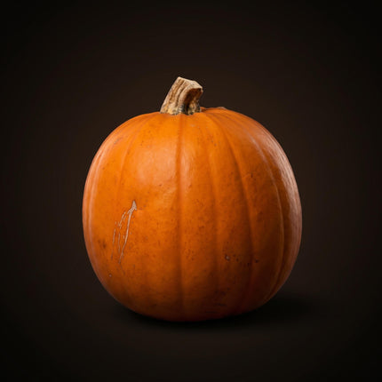 Halloween Kürbis - Orange - Echt - Ø ca. 16 cm - ca. 1,4 kg