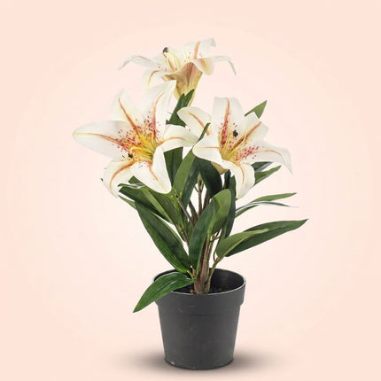 Lilie im Topf - Creme - Kunstpflanze - ↑ 33 cm