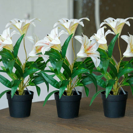 Lily cream 3 pcs - Bundle product - Artificial plants
