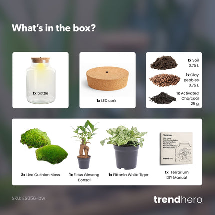 Little Milky - Flaschengarten mit Licht - DIY Terrarium mit Pflanzen im Glas - Ø 17 cm ↑ 25 cm
