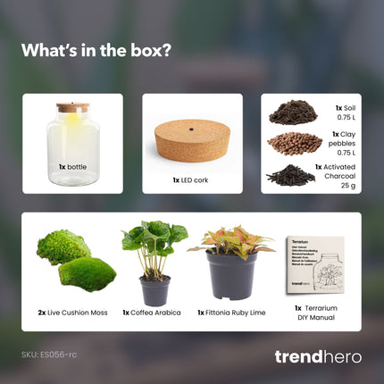 Little Milky - Flaschengarten mit Licht - DIY Terrarium mit Pflanzen im Glas - Ø 17 cm ↑ 25 cm
