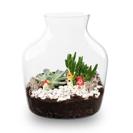 Little Joe Succulent - Offenes Terrarium - Flaschengarten DIY Kit - Ø 20 cm ↑ 22 cm