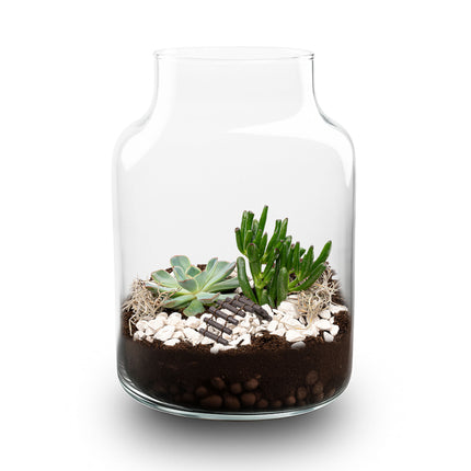 Little Milky Succulent - Offenes Terrarium - Flaschengarten DIY Kit - Ø 17 cm ↑ 25 cm