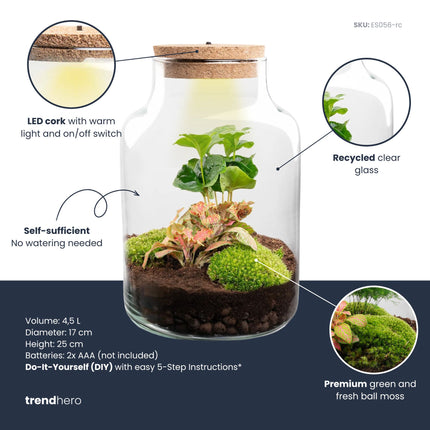Little Milky - Flaschengarten mit Licht - DIY Terrarium mit Pflanzen im Glas - Ø 17 cm ↑ 25 cm
