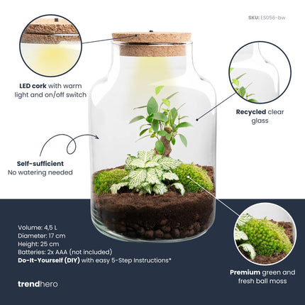 Little Milky - Flaschengarten mit Licht - DIY Terrarium mit Pflanzen im Glas - Ø 17 cm ↑ 25 cm
