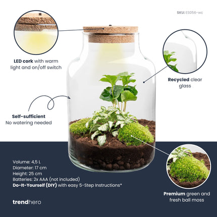 Little Milky - Flaschengarten mit Licht - DIY Terrarium mit Pflanzen im Glas - Ø 17 cm ↑ 25 cm
