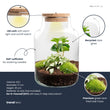Little Milky - Terrarium with light - Bottle garden DIY kit - Ø 17 cm ↑ 25 cm