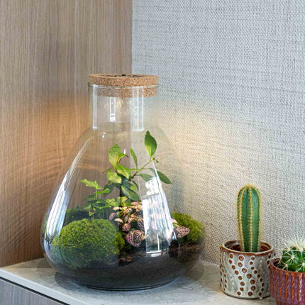 'LOVE MOM' Terrarium Sam + gravierter Kork mit Licht - Flaschengarten DIY Set - Ø 24.5 cm ↑ 30 cm - Muttertag