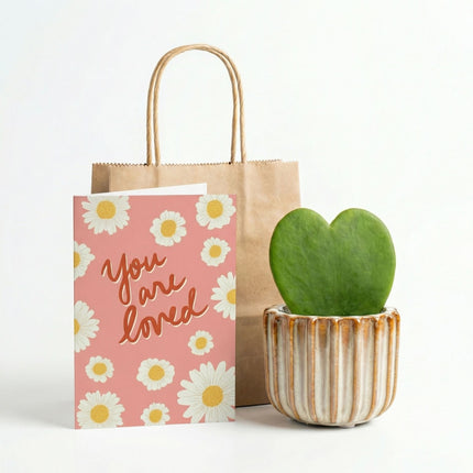Geschenkset - Love Set - Herzblatt-Pflanze, Übertopf, Grußkarte & Geschenktüte