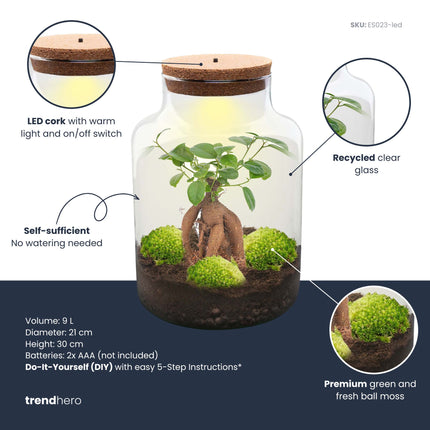 Milky Bonsai - Flaschengarten mit Licht - DIY Terrarium mit Pflanzen im Glas - Ø 21 cm ↑ 30 cm